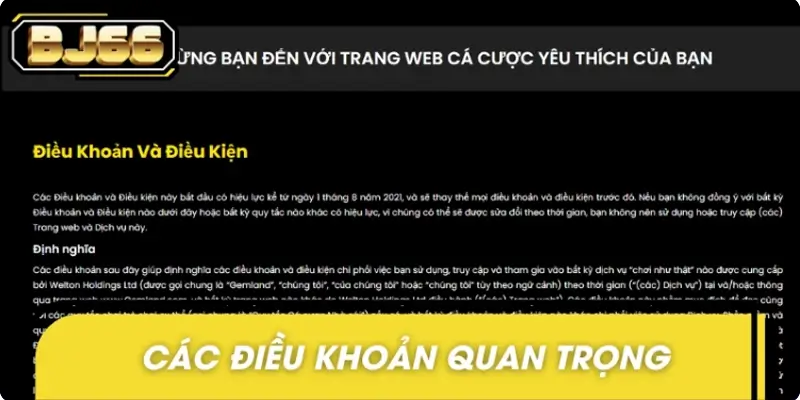 Các điều khoản điều kiện quan trọng trong quy định