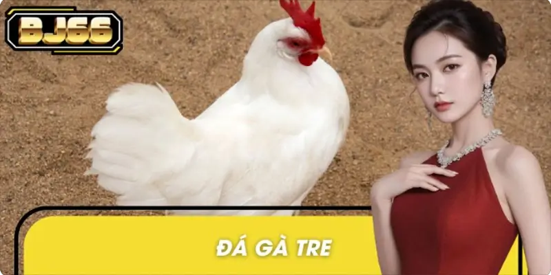 Đá Gà Tre Online