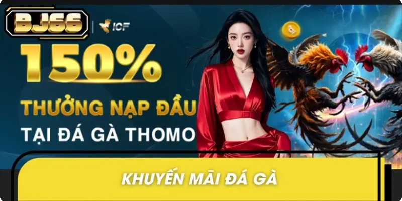 Khuyến Mãi Đá Gà BJ66 - Đặt Cược Trúng, Nhận Thưởng Lớn!