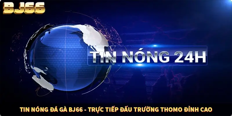 Tin Nóng Đá Gà BJ66 - Trực Tiếp Đấu Trường Thomo Đỉnh Cao