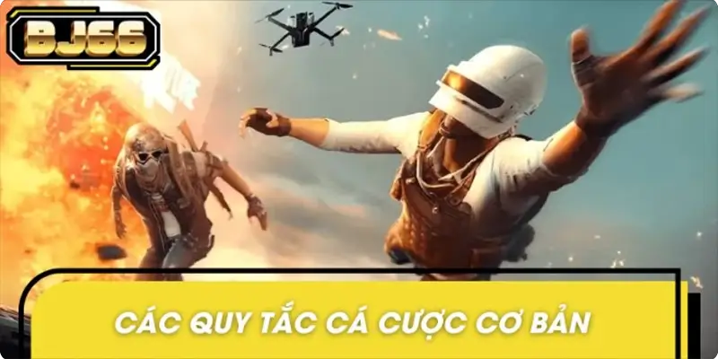 Trước khi tham gia PUBG Mobile hội viên cần nắm rõ quy luật chơi