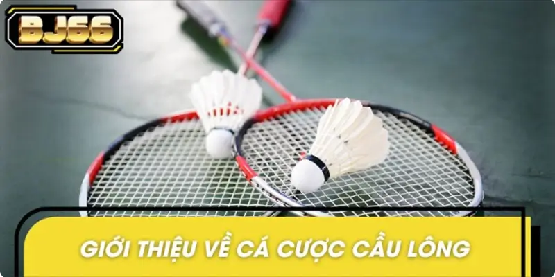 Vài nét thông tin về hình thức cá cược cầu lông
