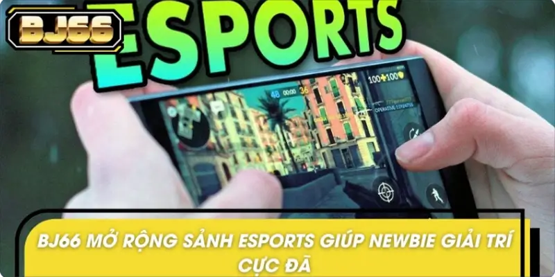 Vì sao BJ66 mở rộng sảnh Esports với newbie?