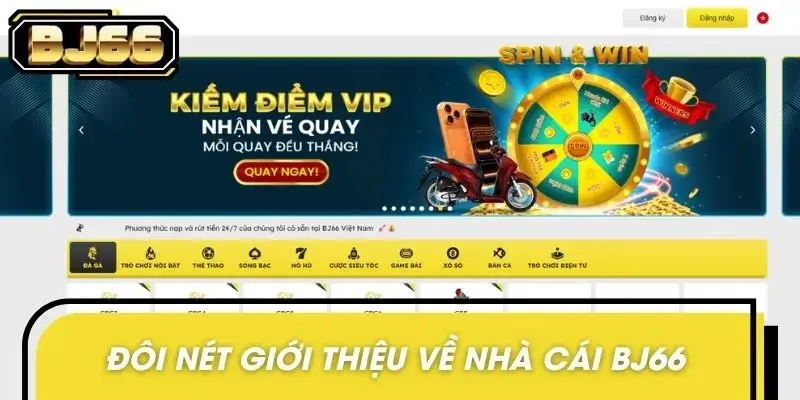 Các tin tức giới thiệu giúp hội viên có góc nhìn tổng quan