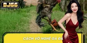 Cách vô nghệ gà đá