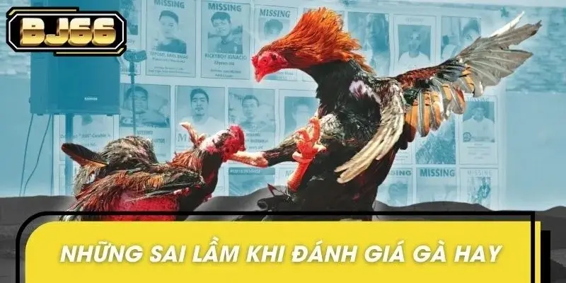 Chuyên gia BJ66 lý giải các hiểu lầm phổ biến