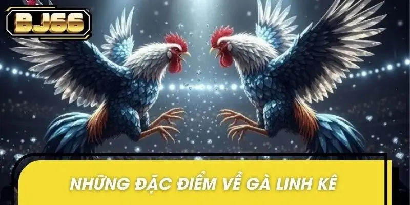 Đặc điểm thường thấy trong gà linh kê