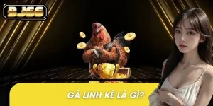 Gà Linh Kê Là Gì