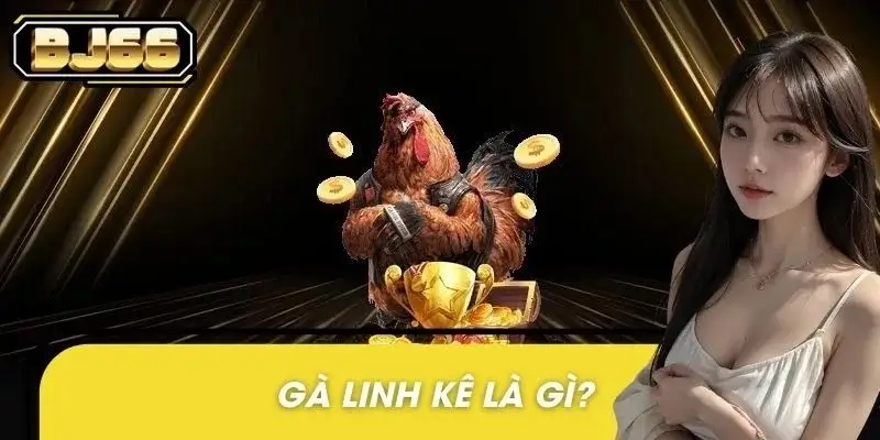 Gà Linh Kê Là Gì