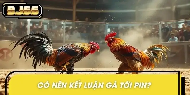 Nhận diện gà tới pin đòi hỏi sự kiên nhẫn