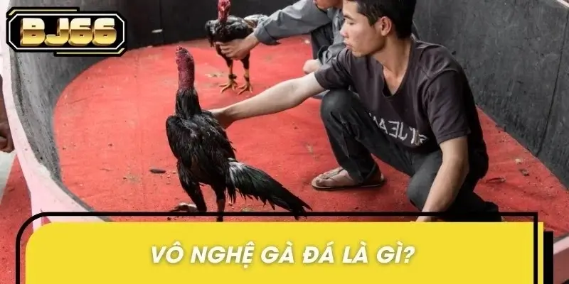 Thực hiện cách vô nghệ gà đá giúp chiến kê khỏe mạnh hơn