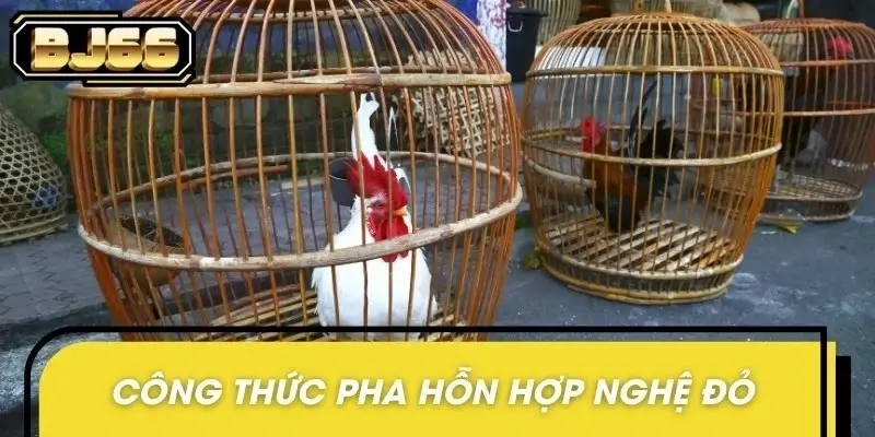 Tỉ lệ pha trộn bột nghệ đỏ cùng rượu giúp chiến kê có da đỏ