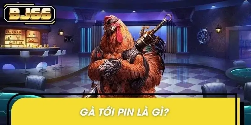 Tìm hiểu về gà tới pin